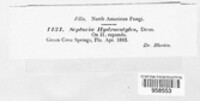 Image Associated With the Occurence